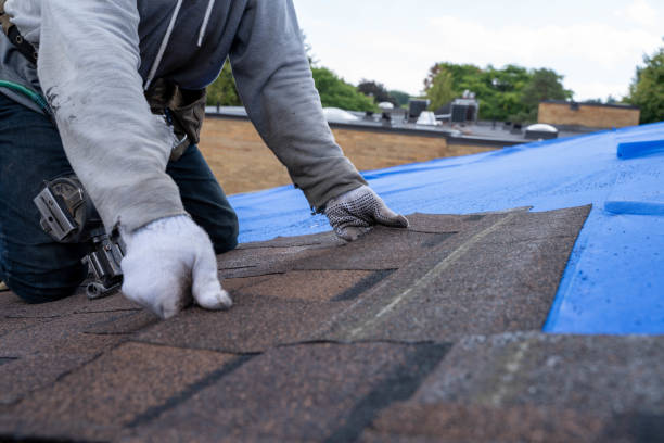 Best Commercial Roofing Services  in North Weeki Wachee, FL